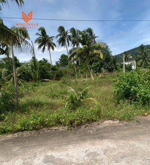 đất sào suối đá dương tơ, pháp lý rõ ràng giá tốt từ 2,95 tỷ/lô