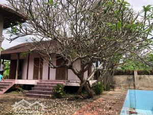 chính chủ bán nhà vườn, phú lộc tây 1, diên khánh, khánh hòa, 9.5 triệu/m2, 1317m2, pháp lý sổ đỏ