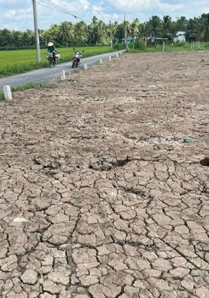 lô đất 2498m2 thổ ấp trung hòa, xã trung hòa, huyện chợ gạo, tỉnh tiền giang
