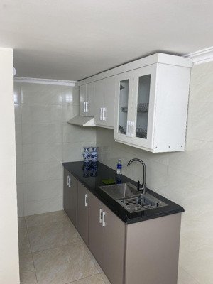 cho thuê cửa hàng mặt phố tân khai 100m2 x c4 gác xép