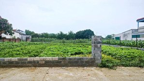 bán lô đất đẹp 216m tại hoà thạch quốc oai hà nội