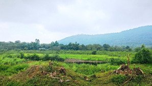 chính chủ nhờ bán lô đất fo tại hoà thạch quốc oai hà nội. dt 1156m2 /240m2 đất ở