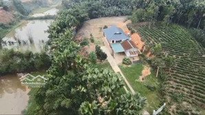 bán nhà đất, trang trại, khu nghỉ dưỡng tại xã bình yên, định hóa, thái nguyên, 560k/m2, 6.434 m2
