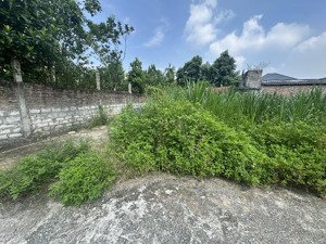 61m thọ lộc - phúc thọ - hả nội . đường oto , mt rộng . giá 2.x tỷ