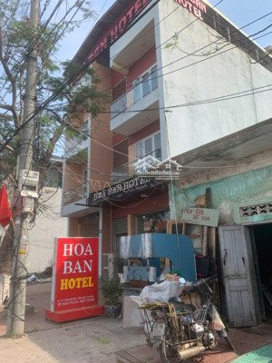 cho thuê 350m2 đất siêu đẹp mặt đường phạm văn đồng tặng nhà cấp 4 hải thành, dương kinh, hải phòng