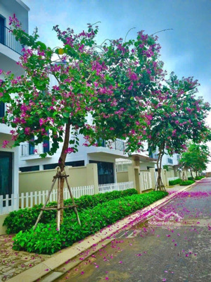 chính chủ cần tiền bán nhanh bt nv gần biển, giá bán rẻ cho nhà đầu tư 9.x tỷ. sổ sẵn sang tên