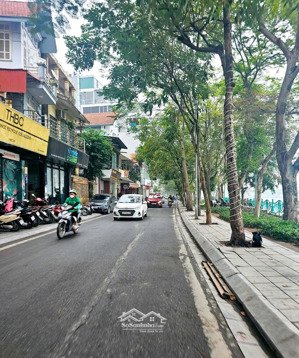 cực hiếm căn hộ dòng tiền, sát hồ tây, 7 tầng thang máy, 12 phòng khép kín, phố nhật chiêu, dt 50m