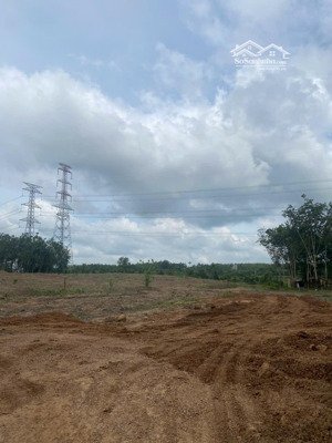 cho thuê 4,5 đất trống an long, tiện sxkd, xả thải, giá 20tr, bao giấy tờ, điện nước.