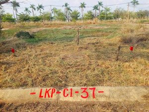 1 lô phố duy nhất 100m2 kdc daresco đức hoà, sổ sẵn, giá tốt nhất khu vực, nắm chính chủ