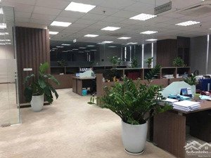 cho thuê cc 3pn, 2wc, 100m2, 11 triệu/th tại nguyễn đức cảnh, hoàng văn thụ, hoàng mai, hà nội