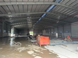 cho thuê kho xưởng lớn ngoài kcn bến lức, long an sát tp hồ chí minh, pccc tự động