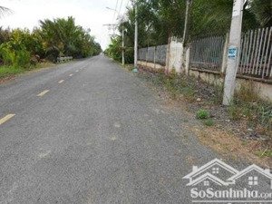 cho thuê đất mặt tiền xã tân nhựt, huyện bình chánh, tp.hcm