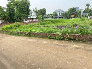 bán đất vân nội, đông anh. đất nằm ngay mặt đường vân trì, mặt tiền kinh doanh đẹp