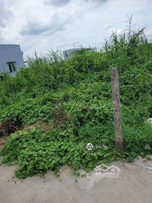 đất giá rẻ tại phường 5, tp tân an. nằm gần tt huấn luyện quân nhân, 779tr/140m2. shr, full thổ.