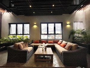 cho thuê căn hộ penthouse cao cấp 2 phòng ngủ, không gian mở, nội thất nhập khẩu, quận bình thạnh
