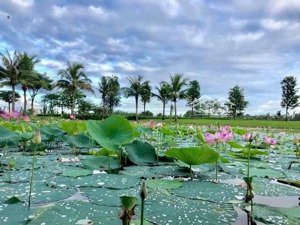 chính chủ gửi bán nhanh nhà park riverside 5x16,5m. nội thất cơ bản, giá thoả thuận, sổ hồng