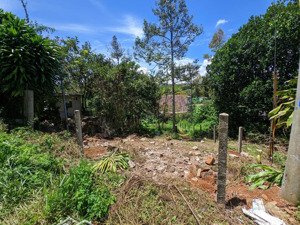 siêu phẩm bán đất chính chủ phường 2, tp bảo lộc