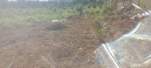 bán trang trại tại hòa ninh, hòa vang, đà nẵng, giá ưu đãi 2,1 tỷ, 2500m2