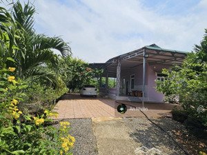 chủ định cư nước ngoài bán gấp vườn 3.500m² gần long khánh đã được phủ hồng, chỉ 1,9triệu/m