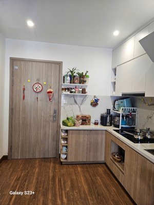 bán căn hộ s3.03 vinhomes grand park, full nt, 63.4m2, 2pn +, 2wc, bc, chính chủ