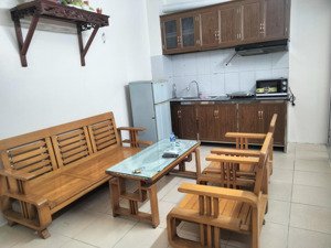 cho thuê chung cư mini diện tích 47m2