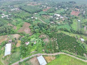 3200m² đất vườn có 200m² thổ cư view suối + hồ cá trồng sẵn 100 cây mít giá mềm 1,2 triệu/m²