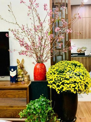 cho thuê căn hộ 2 ngủ đông nam siêu mát trung tâm cầu giấy