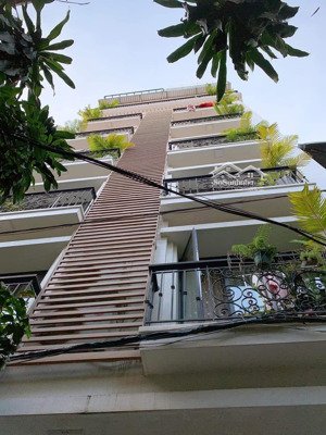 căn hộ dịch vụ nguyễn phúc lai 1n1k cao cấp lịch sự giá bình dân