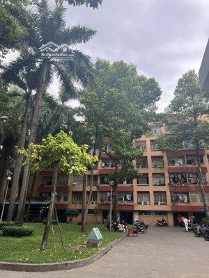 cho thuê nguyên căn chung cư tân bình, tphcm (dài hạn)