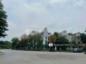 bán biệt thự ciputra, tây hồ 305m2, 4tầng, lô góc, sân vườn, 4 thoáng full nội thất, ở ngay, 1xxtỷ.