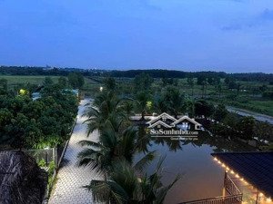 bán đất tại phú an, tp bến cát, bình dương. 3050m2 chỉ 5,4 triệu/ m2. mặt tiền nhựa cực đẹp