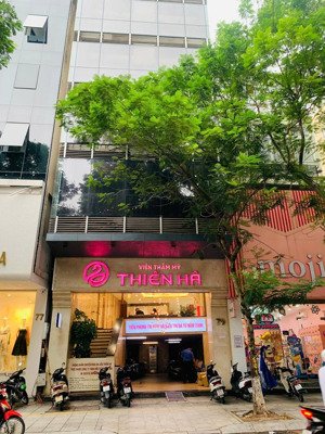 cho thuê mặt bằng kinh doanh phố phạm ngọc thạch, cạnh vincom center, dt 80m2x5.5 tầng, mt 7m