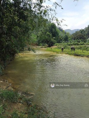 9ha gồm đất thổ cư, đất vườn, đất rsx bám suối lớn siêu đẹp . làm resort, trang trại ,nghỉ dưỡng.