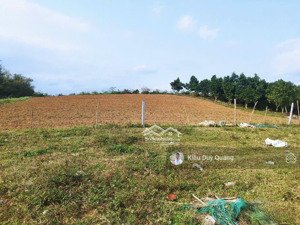 bán 5528m2 đất bhk bám sông bôi siêu đẹp tại kim bôi, hòa bình