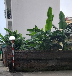bán đất lạc long quân, ô tô gần, lô góc