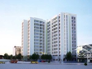 chủ ngộp giảm thêm 700tr cc đường âu cơ quận 11. sổ hồng riêng
