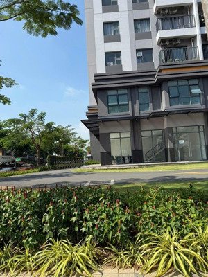cho thuê shophouse giá siêu hời tại trịnh quang nghị, 25 triệu, 162m2