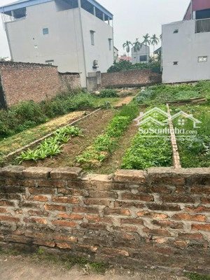 chủ cần bán 40m2, mt 3.7m, 2.8 tỷ, xuân nộn (cũ), thư lâm, hà nội