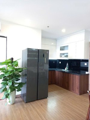 bán gấp ch 2pn, 3,95 tỷ, 67m2 tại sky oasis, full nội thất.