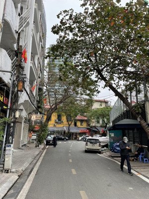 chính chủ bán nhà mặt phố trúc bạch - 69 tỷ, mặt tiền 6.5m. lh 