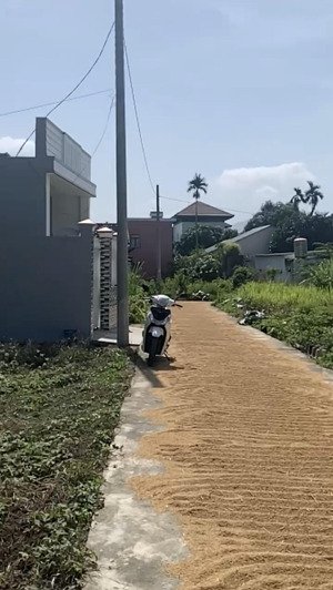 bán đất tại xã diên hòa, diên khánh, khánh hòa, 750 triệu, 70m2