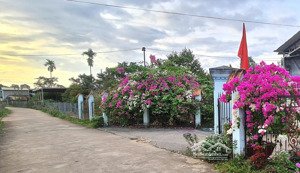 bán vườn trái cây 2.000m2, có 100m2 thổ cư trong khu dân cư kiểu mẫu đường tl.764, cẩm mỹ, đồng nai