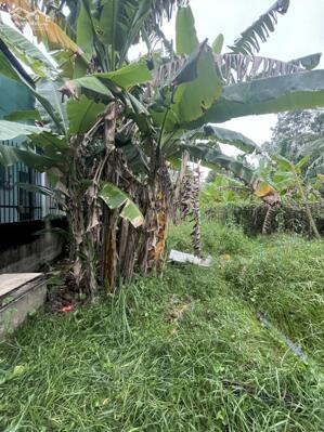 CẦN BÁN GẤP LÔ ĐẤT 153M2–HẺM XE HƠI–GẦN MẶT TIỀN HÀ HUY PHIÊN, BÌNH MỸ, CỦ CHI–CHỈ 2.5 TỶ