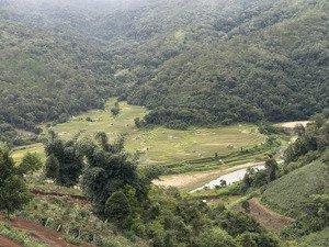 bán đất 4000m2 tại khu 37 hộ, thị trấn măng đen, kon plông, kon tum, giá 3,1 tỷ