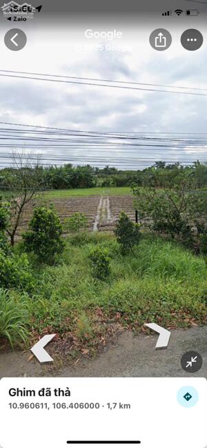 CHÍNH CHỦ CẦN BÁN GẤP LÔ ĐẤT MẶT TIỀN ĐƯỜNG NHỰA NGAY XÃ TÂN MỸ, ĐỨC HÒA, LONG AN