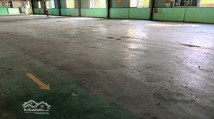 cho thuê 2300m2 nhà xưởng đẩy đủ pccc xã tam đảo cách tp vĩnh yên chỉ 5km giá ưu đãi