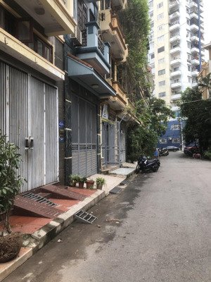 bán nhà riêng tại nguyễn cảnh dị, 300 triệu / m2, 53 m2, chính chủ, giá siêu hời, q.hoàng mai, hn