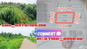 nóng! bán gấp 2000 m2 vườn cafe khu dân cư giá 3 tỷ 250 triệu có 34 m mặt tiền siêu đẹp