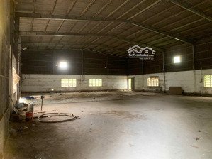 cho thuê kho xưởng tân kiên, bình chánh. dt 2.000m2, xưởng 1.000m2. đường xe container 24h
