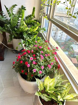 cần bán căn góc cc đất phương nam, 141m2 3pn-2wc căn góc sh giá bán 5,9 tỷ